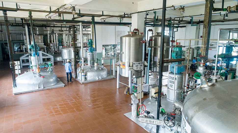 Ensuring Quality and Safety - Farmson's Commitment to API Paracetamol