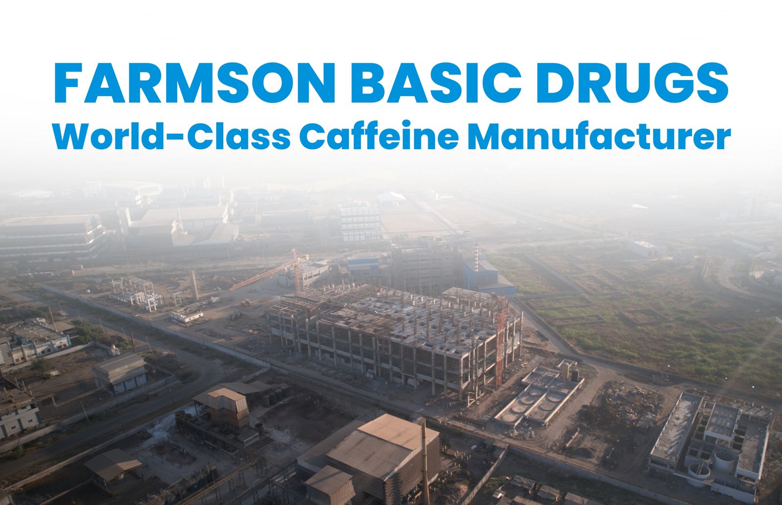 Farmson Basic Drugs World-Class Caffeine Manufacturer